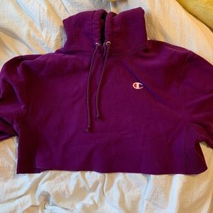 Champion cropped hoodie from Pacsun